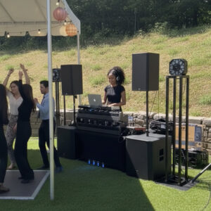 Professional DJ