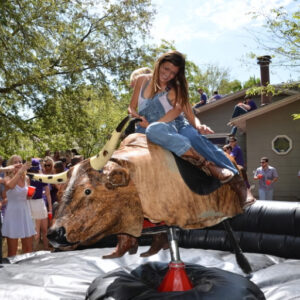 Mechanical Bull